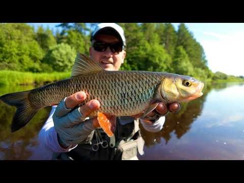 Men's SPA: Bonfire, chub and no internet!