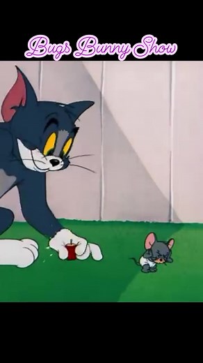 Tom and jerry❤️❤️😃😃😃😃🤣🤣 | Bugs Bunny Show