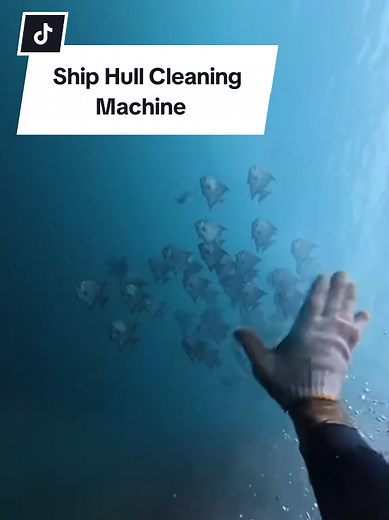 Innovative Ship Hull Cleaning Machine