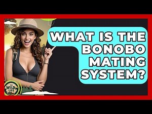 What Is The Bonobo Mating System? - The Wild Life Explorer