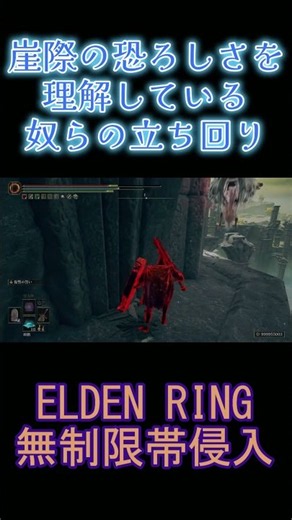 エルデンリング 地獄の侵入 崖際の恐ろしさを理解している奴らの立ち回り！ ELDEN RINGDLC #elden #eldenringdlc #ダクソ3