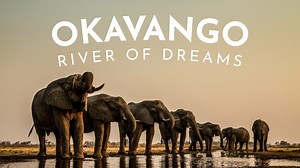 Okavango: River of Dreams - Nat Geo Series