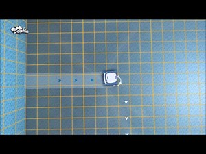 24K views · 86 reactions | El nuevo #RobotDolphin S200 es ideal para piscinas de hasta 12 mts. de longitud, tiene un ciclo de limpieza de 2hs., cepilla, barre, aspira y filtra pisos, ángulos, paredes y línea de flotación. Gracias a su canasta de filtrado de fàcil limpieza y kit de filtros ultrafinos, recoge del agua todas las partículas. ¡Viví la #ExperienciaDolphin y #NoVacíesTuPiscina! Por si no te avisamos...¡tiene 24 meses de garantía! | Robots Nataclor | Facebook