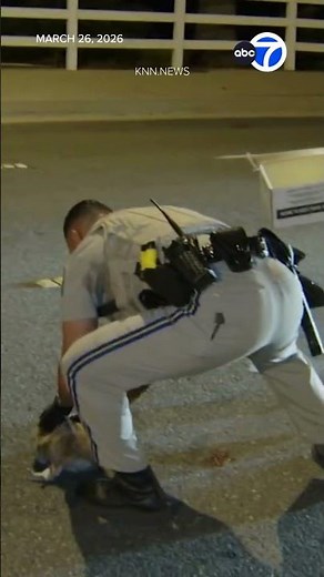 CHP officers rescue injured owl in Stevenson Ranch in L.A. County | #Shorts
