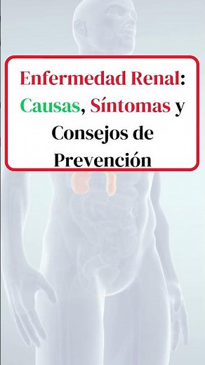 Kidney Disease ⚠️ Causes, Symptoms and How to Prevent It