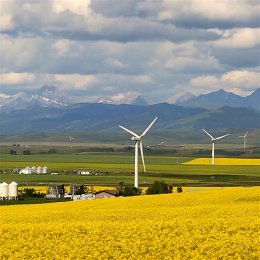 ⚡ Key Highlights from the 2024 Renewable Energy Industry Outlook According to the 2024 #RenewableEnergyIndustryOutlook, in the first 10 months of 2023, 30 new companies joined the #RE100 initiative, bringing the total membership to 421. Corporate renewable procurement is on the rise, witnessing a 31% increase in transacting customers between 2022 and 2023. Big tech firms, responsible for a significant share of the procured capacity, are expected to drive this trend further in 2024, leveraging ar