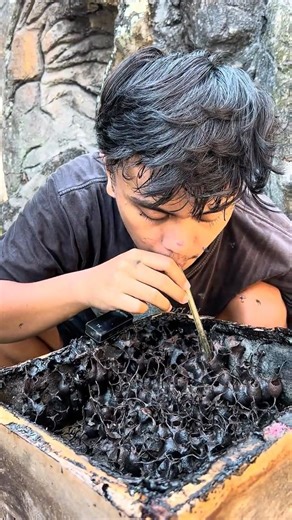 Pure Stingless Bee Honey Drinking - 112 🍯🐝 #shorts