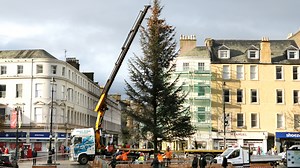 Dundee council bosses replace 'dead' Xmas tree hours after putting it up