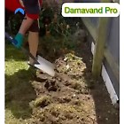 100%Wildflower Seeds Wild Flowers Garden Bee Scented Meadow Mix Seed Flower Pack  | eBay UK