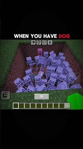 When You Have a Dog #minecraft #shorts #minecraftshorts