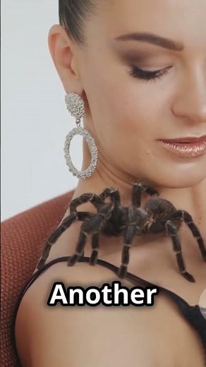 Shocking Facts About The Cow Killer!