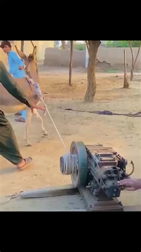 starting with a donkey #donkey #engine #ingenious_tv #startingengine #goodideas #moteur #ânes #startingover | Agricultural Life | Facebook