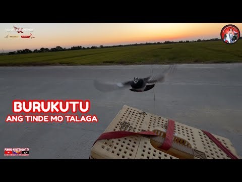 EP1265 NAPAKA ASTIG MO TALAGA BURUKUTU KAHIT IDAYO PA KITA!
