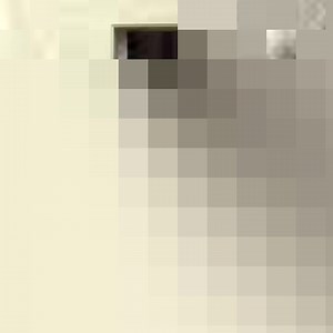 A sweet interactive moment between the gorilla couple. | Gorilla Lover