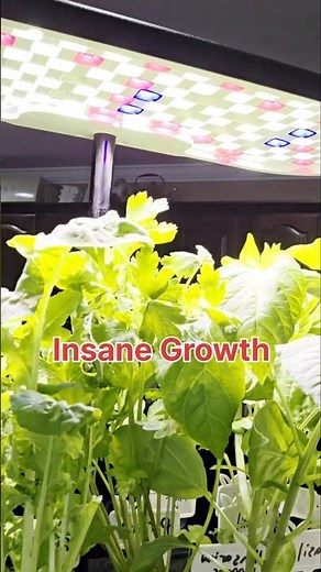 Plants Growing Faster Than Expected!