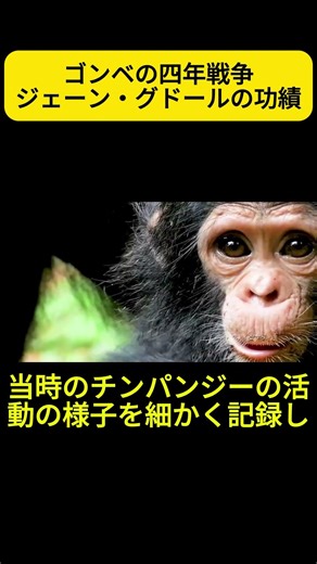ゴンベの四年戦争：チンパンジー研究の第一人者ジェーン・グドールの功績