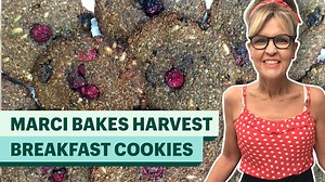 Marci of Marci's Bakery has never shared her best selling allergy-friendly cookie recipe...until now! Watch below to learn how she makes her gluten and nut free harvest morning cookies 🍪 | Shopify