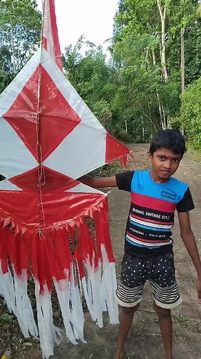 Exploring the Joy of Kite Flying in Sri Lanka