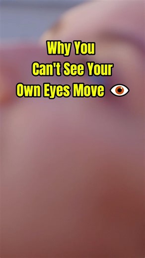Why You Can't See Your Own Eyes Move 👁️ (Try This)