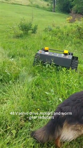 Vigorun wireless radio control track-mounted task carrier made by Vigorun Tech