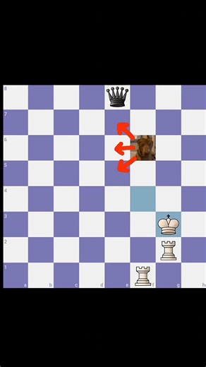 9 Points vs 10 Points — Who Comes Out on Top? 🤯 Chess Ranee-469 #chess #endgame
