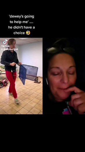 Gentle Cat Handling with an Easy Nabber | Safe Panini Press Technique