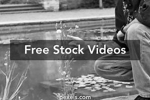 Brima.D+Model Videos, Download The BEST Free 4k Stock Video Footage & Brima.D+Model HD Video Clips
