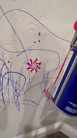 How to Remove Sharpie From Paint (Fail)