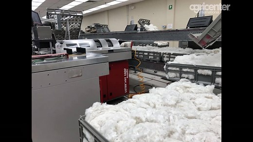 Agricenter had the opportunity to visit the Memphis USDA Cotton Classing Office last week for a behind-the-scenes tour. We learned so much about the fascinating process on how cotton is analyzed before it is sold! Did you know that USDA sets the cotton classing standards for the world? | Agricenter International