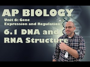AP Bio - Unit 6 - 6.1 - DNA and RNA Structure #apbio #teacher #dna