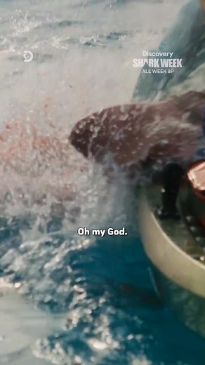 Shark attack survivor Paul de Gelder dives into shark-infested waters with one goal: to get bit again. A high-stakes experiment designed to save lives. See it in How to Survive a Shark Attack as #SharkWeek continues all week at 8p on Discovery.