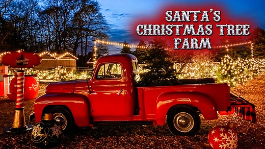 582 reactions · 156 shares | Santa's Christmas Tree Farm Li is a hidden Christmas gem on the North Fork of Long Island that beams with all of the magic and joy of the holiday season. ✨ Check out all of the activities, sweet treats, Christmas trees and more! #DiscoverLongIsland #LongIslandTV https://www.santaschristmastreefarmli.com/ | Discover Long Island | Facebook