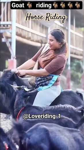 Heavy weight girl riding skinny 🐐goat. #goatriding #donkeyriding #beauty #model #female #fashion