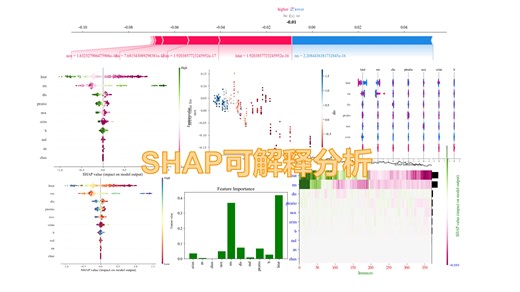 几行代码发一区？SHAP可解释分析，即插即用，保姆级教程来了
