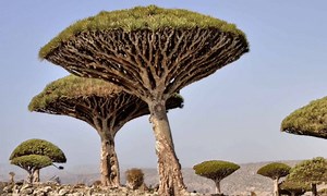 One of the most alien-looking places on Earth. | Atlas Obscura