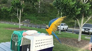 60 reactions · 10 comments | “Flight is fundamental to every...