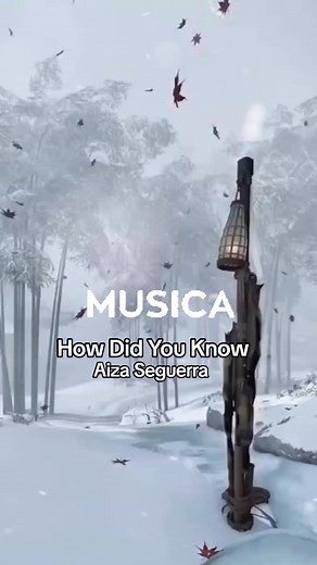 recantoboamusica no TikTok