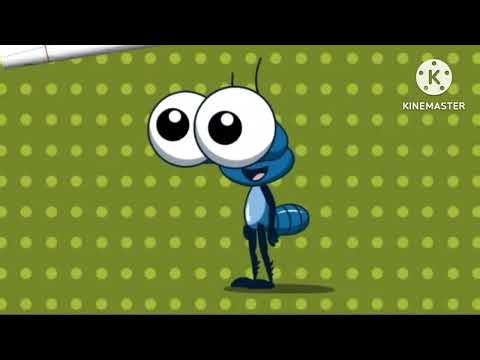 Bob zoom logo in pitch black