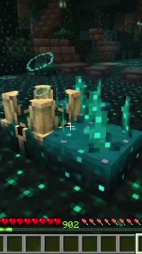 skull sensor #minecraft #gaming ‪@slipered‬