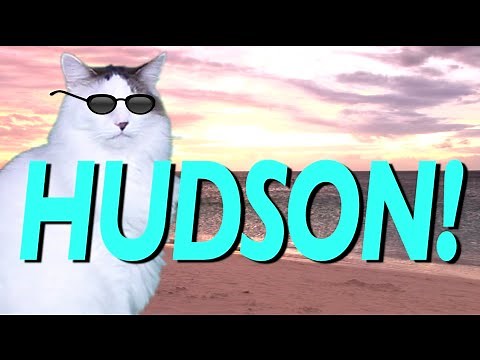 HAPPY BIRTHDAY HUDSON! - EPIC CAT Happy Birthday Song