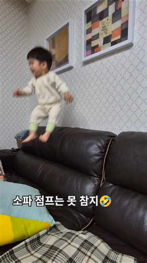 소파만 보면 무조건 점프해야 하는 뚜뚜 #뚜뚜 #22개월 #점프