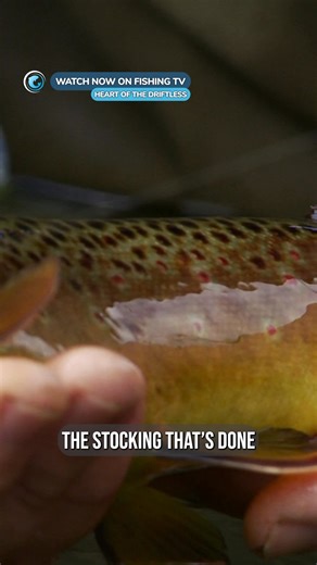 106K views · 1.6K reactions | Do you still enjoy catching ‘small’...