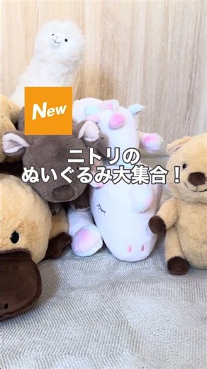 ニトリのぬいぐるみ大集合！みんなはどれが好き？#ニトリ #ニトリ商品 #ぬいぐるみ #抱き枕 #癒し #SNS映え