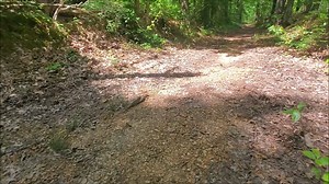 34K views · 268 reactions | Gas Station Tailgate Review. Episode 50....