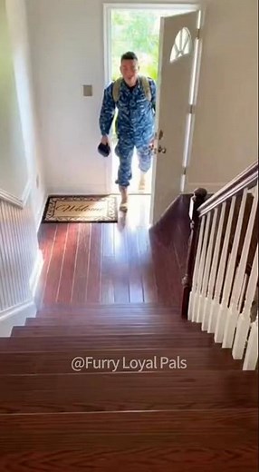 🥰 Two fluff balls tumble down stairs for soldier dad.#dog