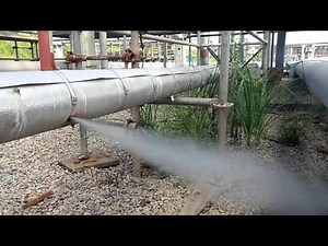 Steam trace line leaking - Operational Test