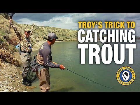 Unorthodox Trout (fishing); Fishful Thinker TV