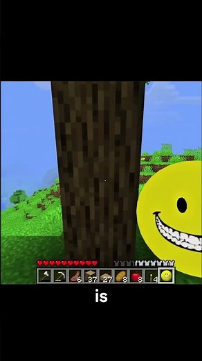Why Verity Is The Best Horror Mod Ever! #minecraft #minecraftshorts #edit #editing #edits #verity