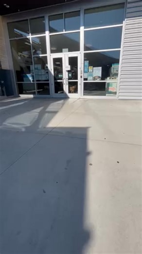 Northwest Boxer Rescue on Reels