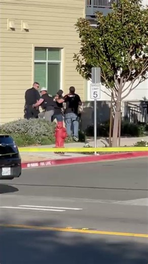 Witness video: Fatal shooting involving officers under investigation in Pleasanton